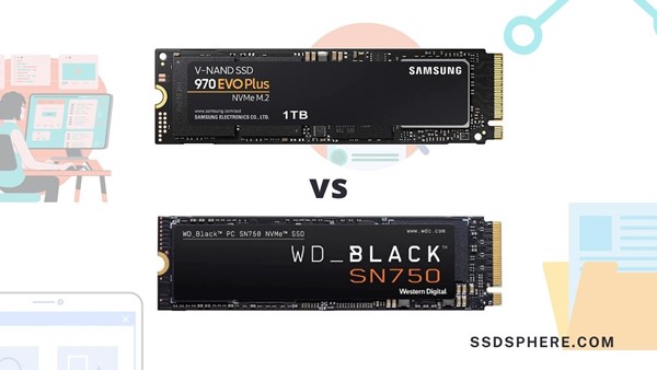 Distill Equivalent Management WD Black SN750 vs Samsung 970 EVO Plus SSD: Which one is the best? - SSD  Sphere